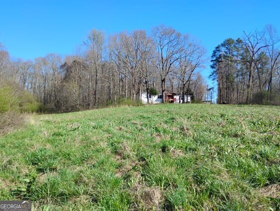 agriculture for sale at 2331 Kesler Road, Carnesville, GA 30521 — photo 5