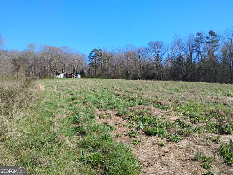 agriculture for sale at 2331 Kesler Road, Carnesville, GA 30521 — photo 4