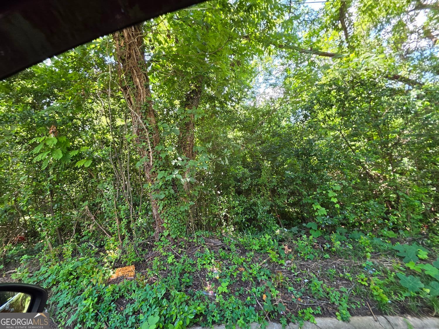 3 bedroom, 1 bathroom, 1,206 sq ft single family residence for sale at 736 Peachtree Street, Macon, GA 31217 — photo 8