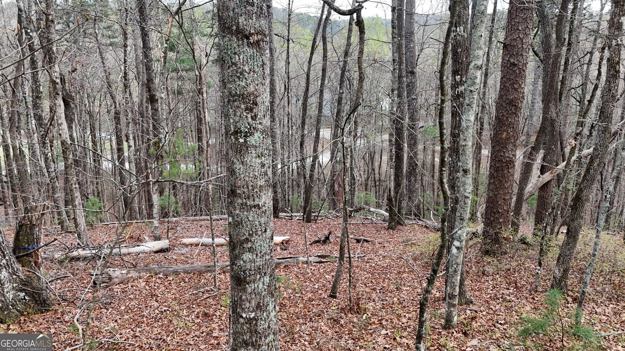 residential lot for sale at LOT 8 Settlement Lane, Tiger, GA 30576 — photo 2