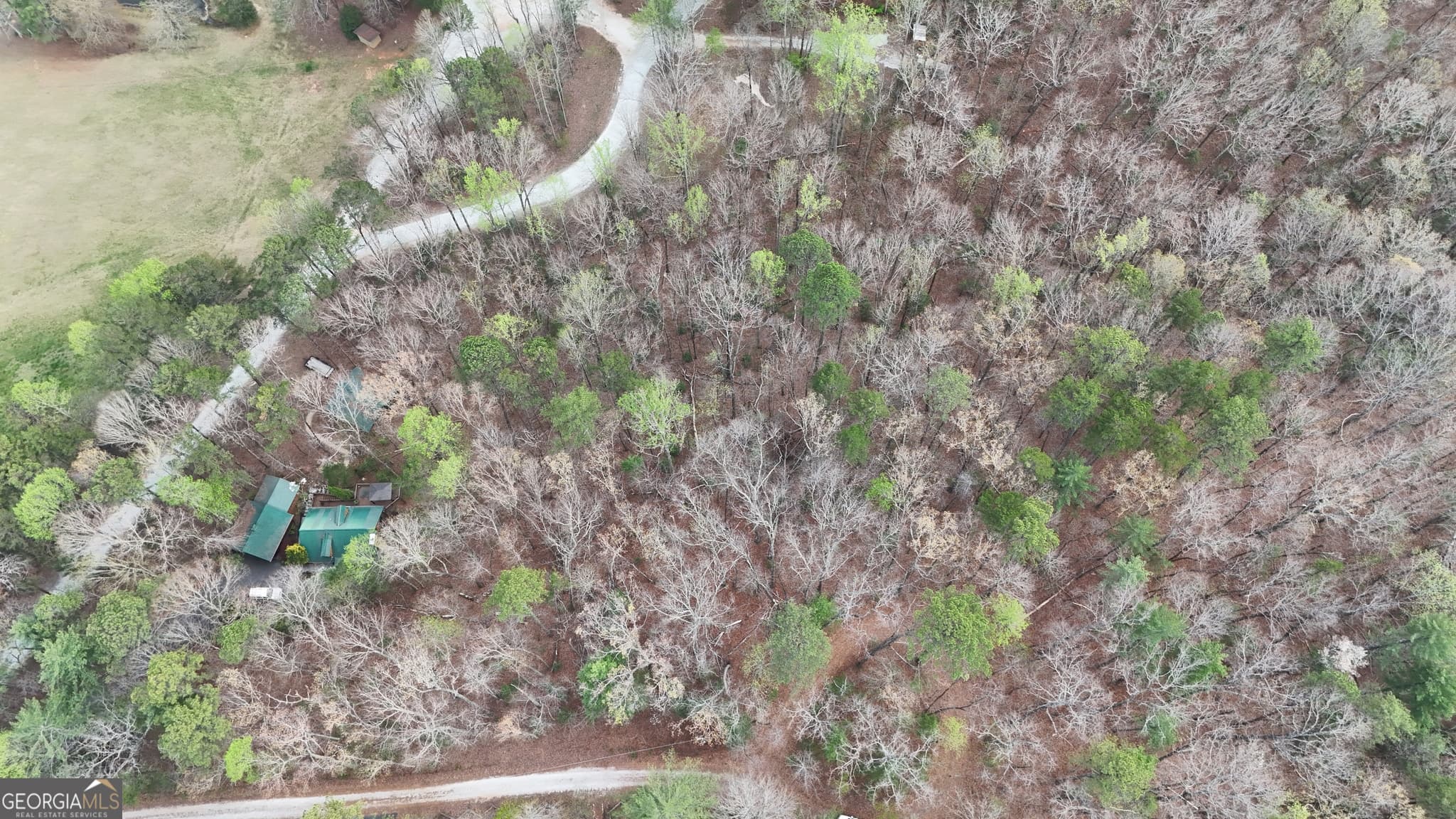 residential lot for sale at LOT 8 Settlement Lane, Tiger, GA 30576 — photo 6
