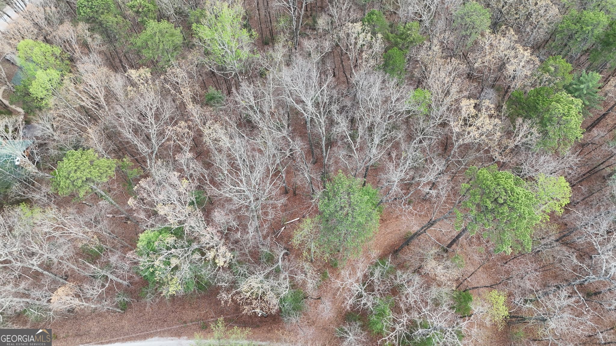 residential lot for sale at LOT 8 Settlement Lane, Tiger, GA 30576 — photo 3