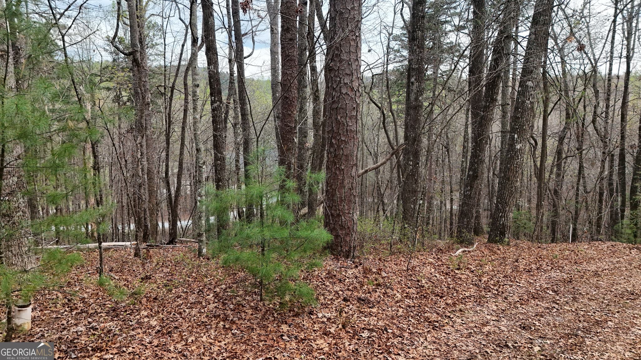 residential lot for sale at LOT 8 Settlement Lane, Tiger, GA 30576 — photo 1 of 6
