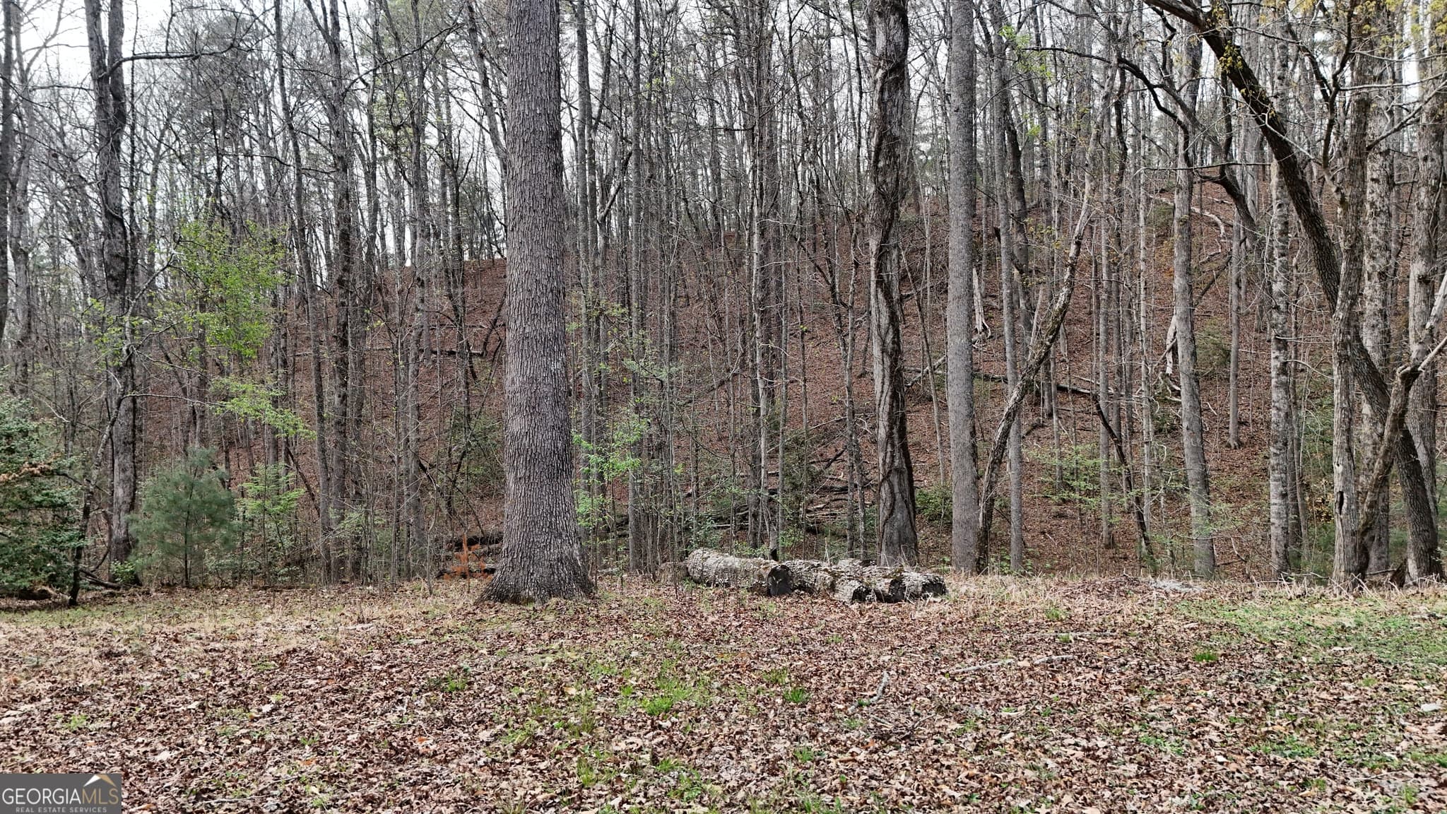 residential lot for sale at LOT 8 Settlement Lane, Tiger, GA 30576 — photo 5