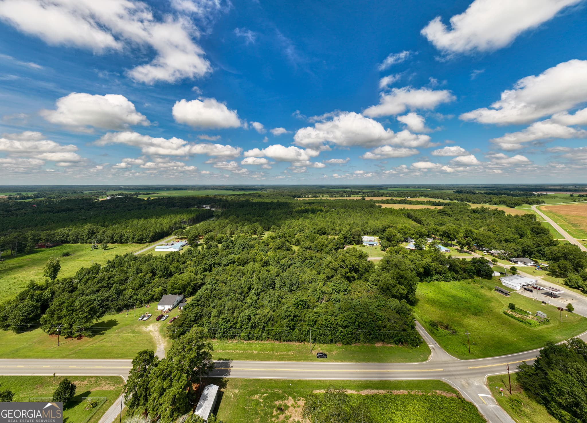 residential lot for sale at 2.8 +/- ACRES Pineway Highway, Pineview, GA 31071 — photo 2
