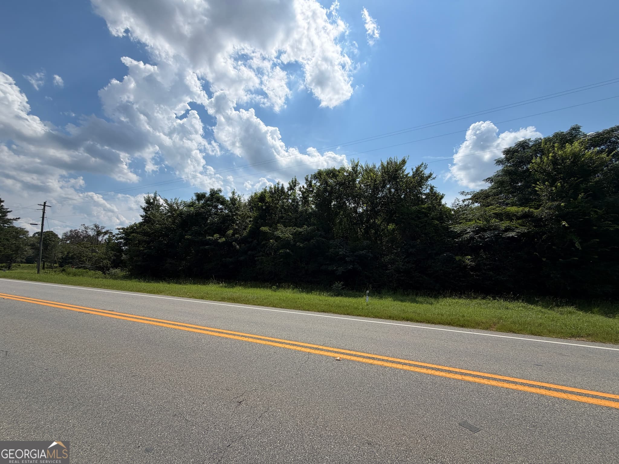 residential lot for sale at 2.8 +/- ACRES Pineway Highway, Pineview, GA 31071 — photo 6