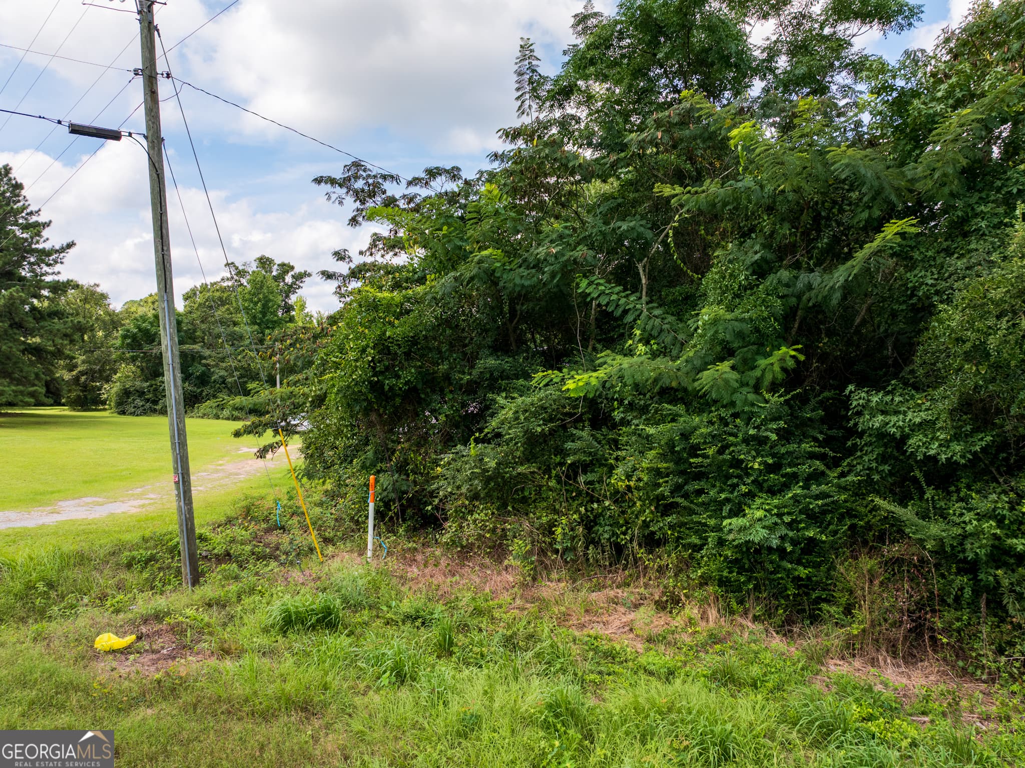 residential lot for sale at 2.8 +/- ACRES Pineway Highway, Pineview, GA 31071 — photo 7