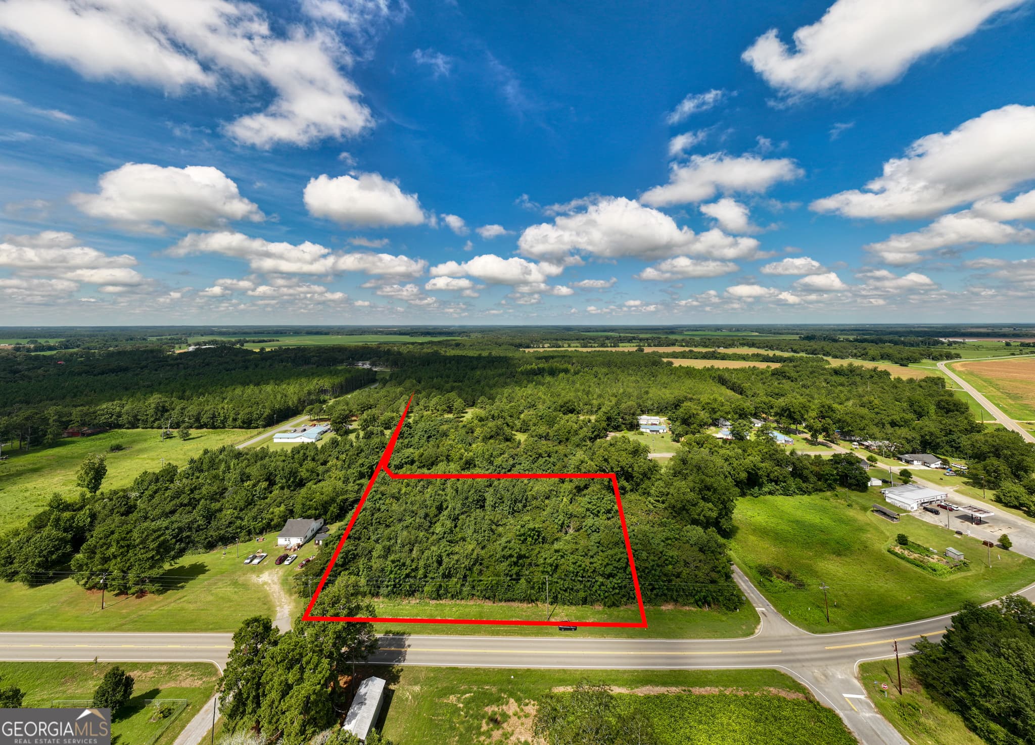 residential lot for sale at 2.8 +/- ACRES Pineway Highway, Pineview, GA 31071 — photo 5