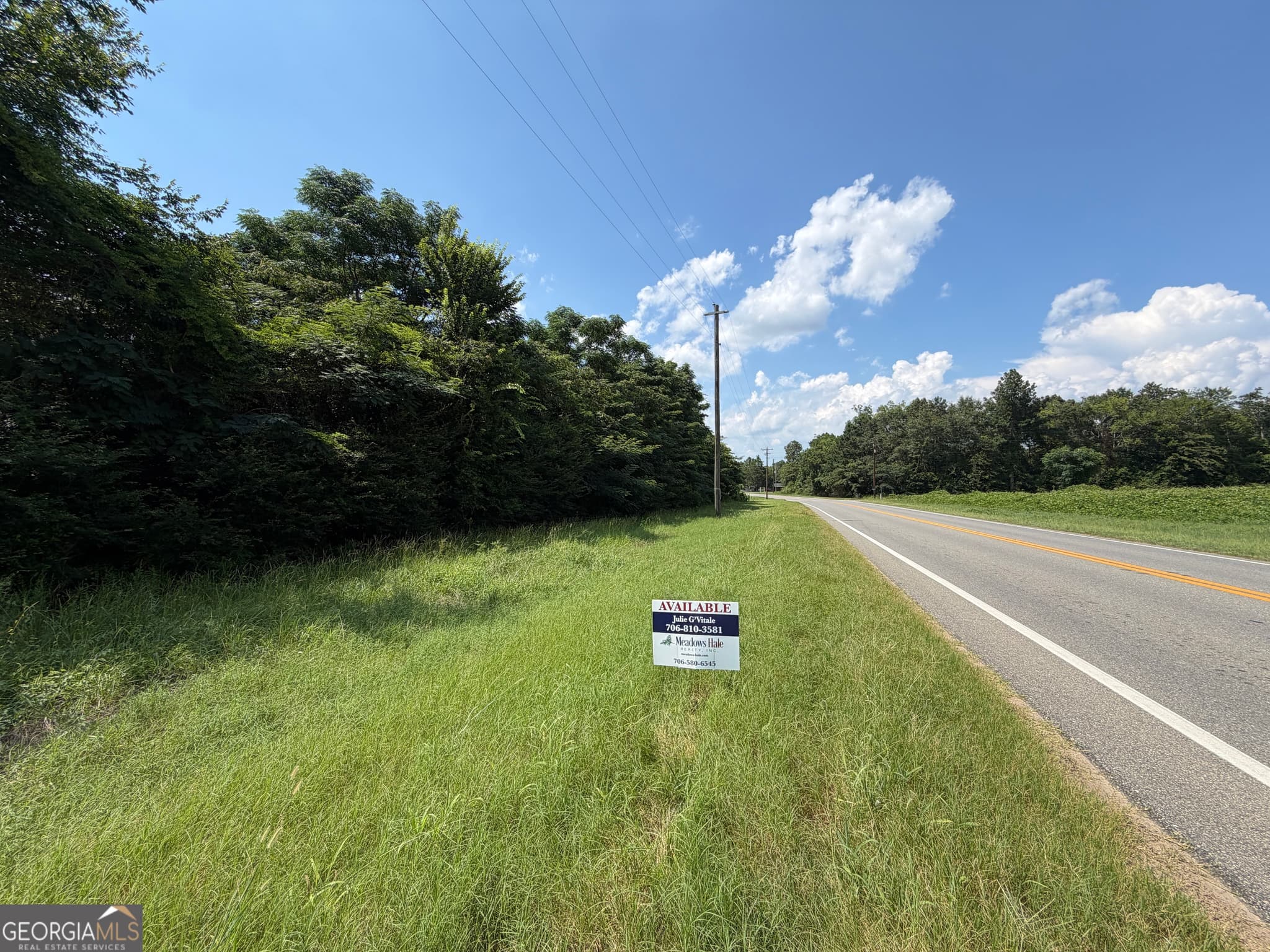 residential lot for sale at 2.8 +/- ACRES Pineway Highway, Pineview, GA 31071 — photo 4