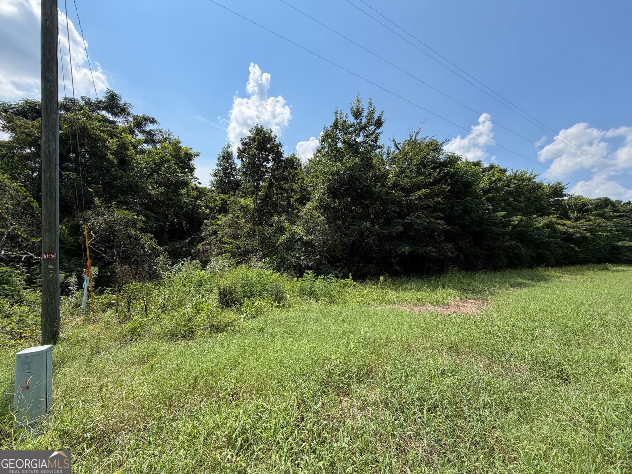 residential lot for sale at 2.8 +/- ACRES Pineway Highway, Pineview, GA 31071 — photo 8