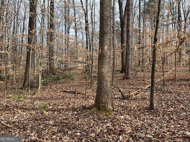 residential lot for sale at 0 Duke Street, Canton, GA 30114 — photo 6