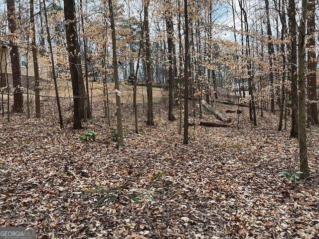 residential lot for sale at 0 Duke Street, Canton, GA 30114 — photo 3