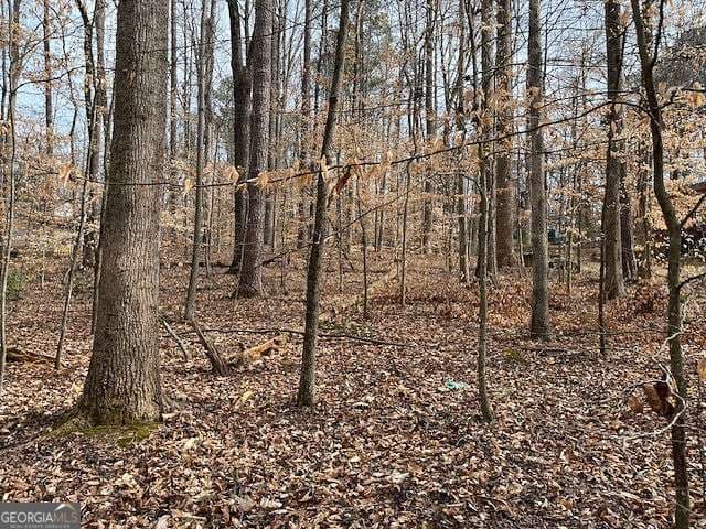 residential lot for sale at 0 Duke Street, Canton, GA 30114 — photo 4