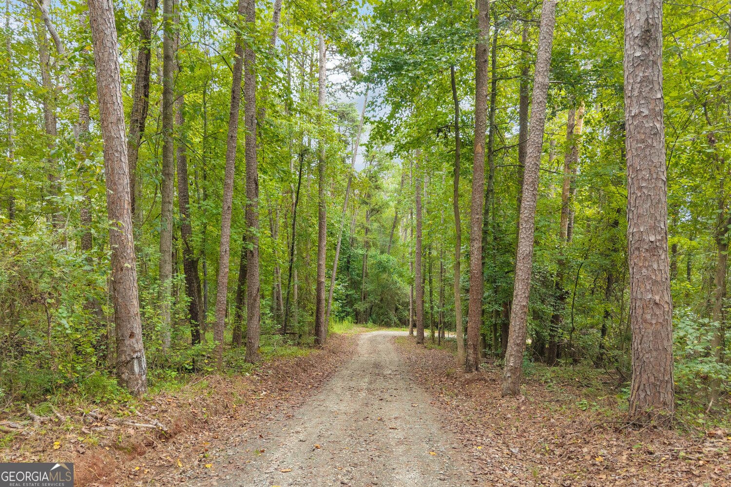 4 bedroom, 3.5 bathroom, 3,474 sq ft single family residence for sale at 2716 Holcomb Drive, Martin, GA 30557 — photo 9