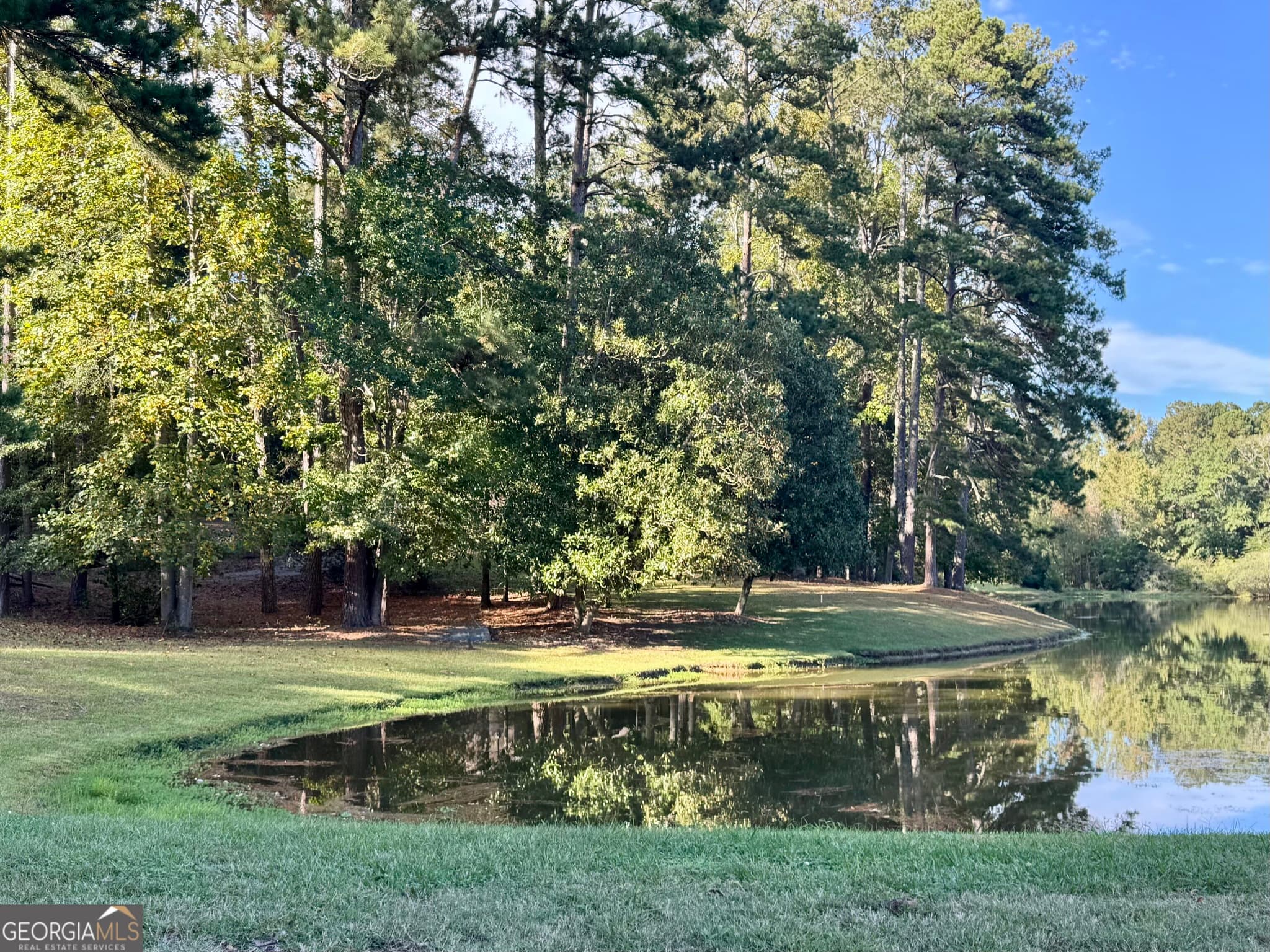 3 bedroom, 2 bathroom, 2,046 sq ft single family residence for sale at 1100 Phelps Road, Greensboro, GA 30642 — photo 10