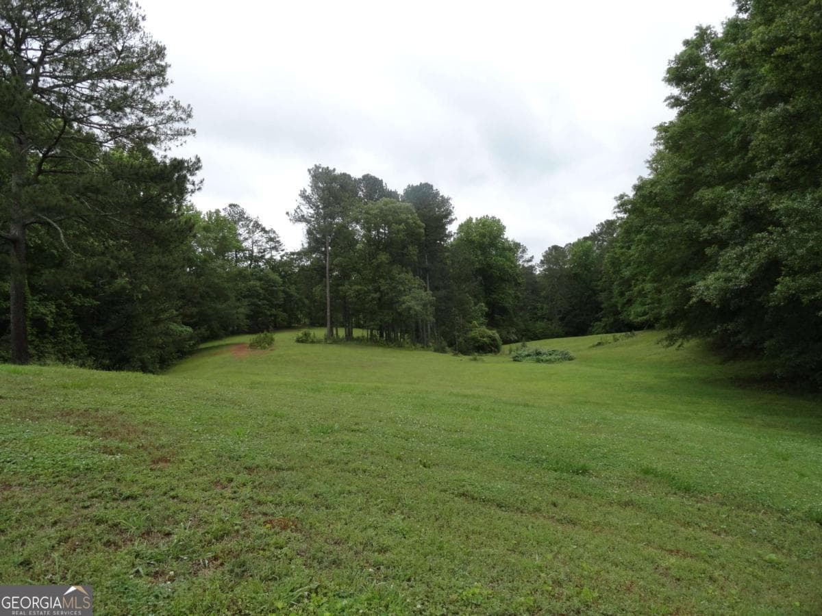 unimproved land for sale at 8664 Cumming Highway, Canton, GA 30115 — photo 6