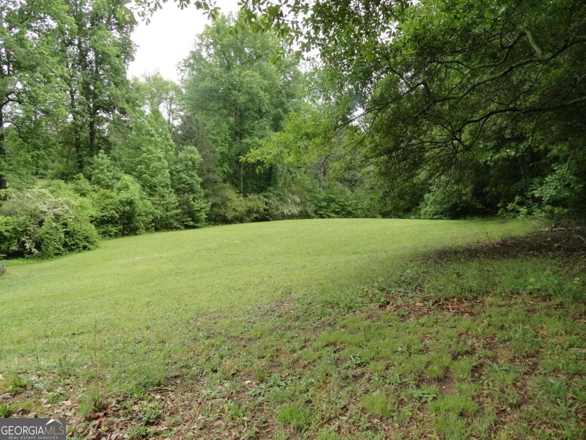 unimproved land for sale at 8664 Cumming Highway, Canton, GA 30115 — photo 10