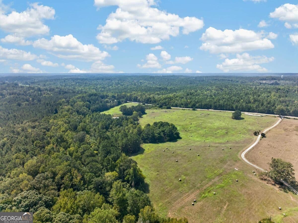 unimproved land for sale at 252 Parks Mill Road, Eatonton, GA 31024 — photo 6