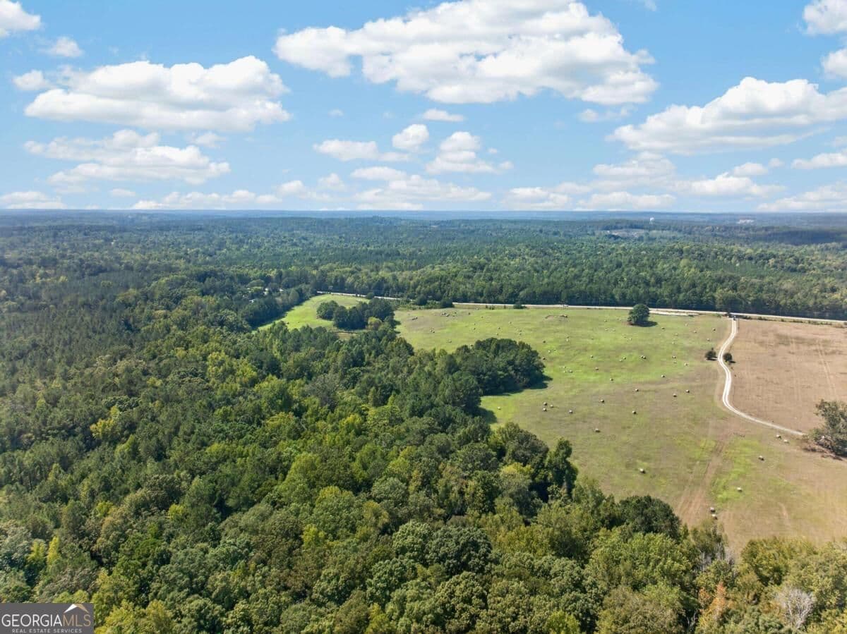 unimproved land for sale at 252 Parks Mill Road, Eatonton, GA 31024 — photo 7