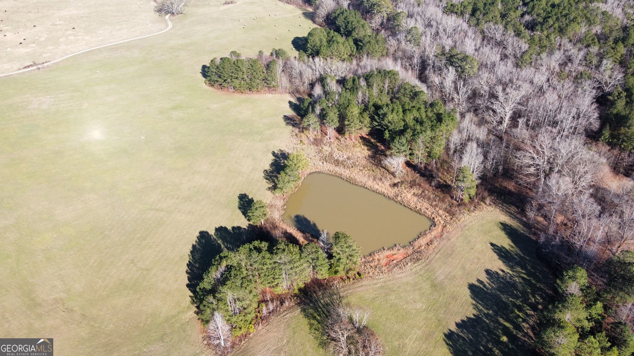 unimproved land for sale at 252 Parks Mill Road, Eatonton, GA 31024 — photo 3