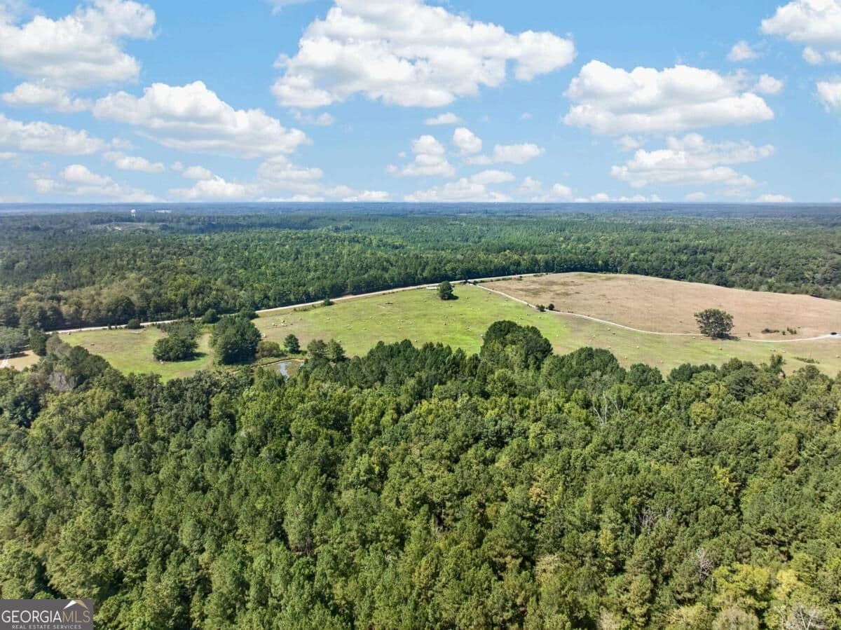 unimproved land for sale at 252 Parks Mill Road, Eatonton, GA 31024 — photo 9