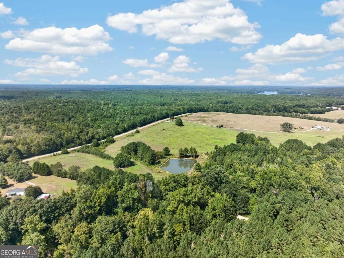unimproved land for sale at 252 Parks Mill Road, Eatonton, GA 31024 — photo 10