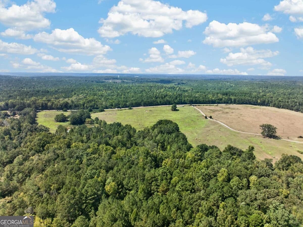 unimproved land for sale at 252 Parks Mill Road, Eatonton, GA 31024 — photo 8