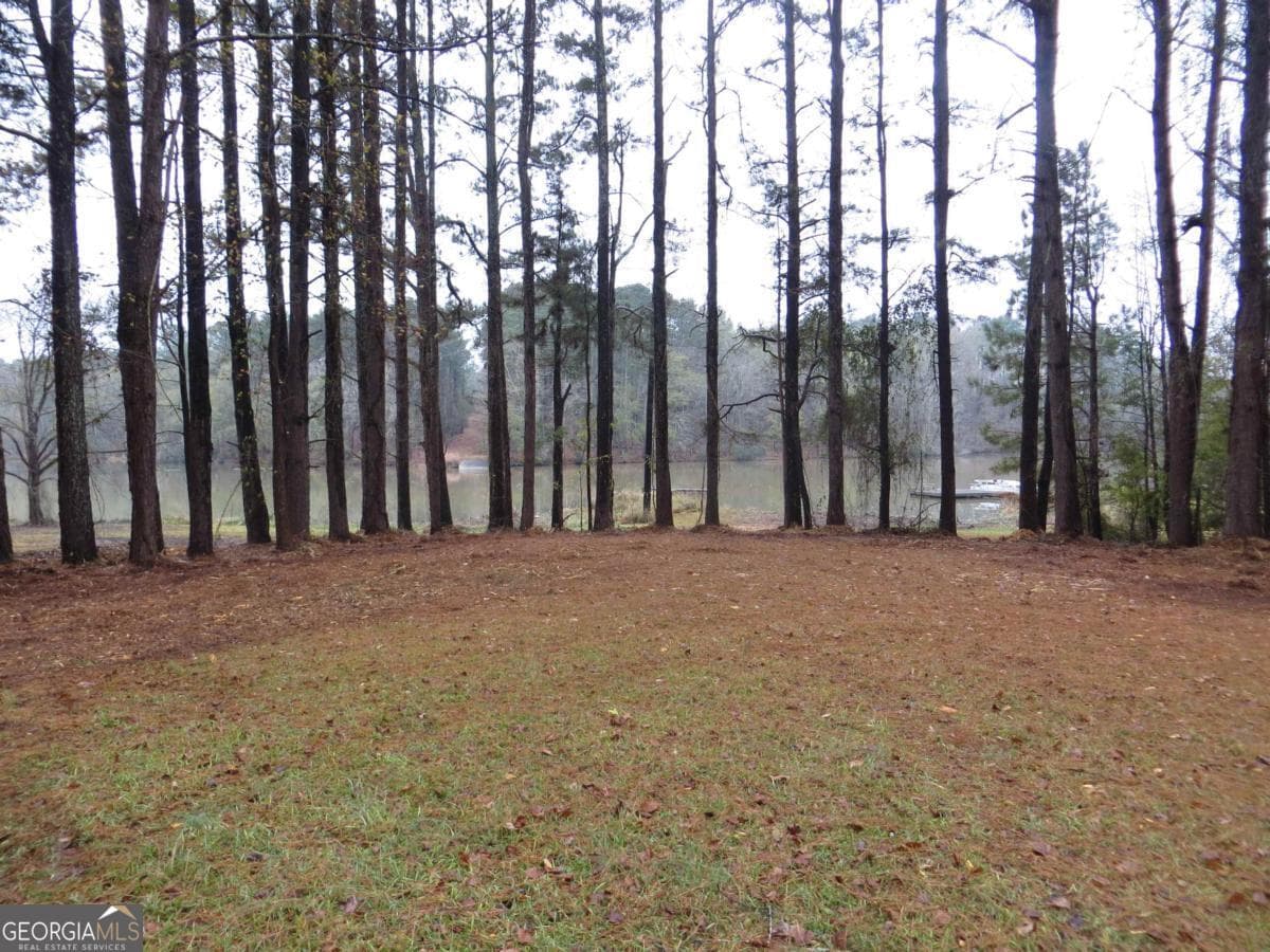 residential lot for sale at LOT 10 Sugar Creek Trail LOT 10, Buckhead, GA 30625 — photo 2