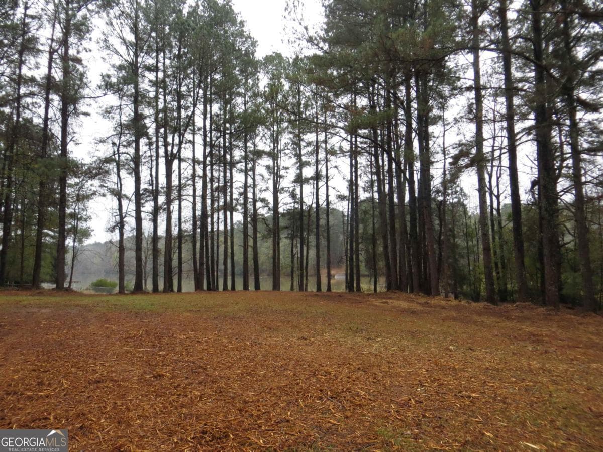 residential lot for sale at LOT 10 Sugar Creek Trail LOT 10, Buckhead, GA 30625 — photo 3