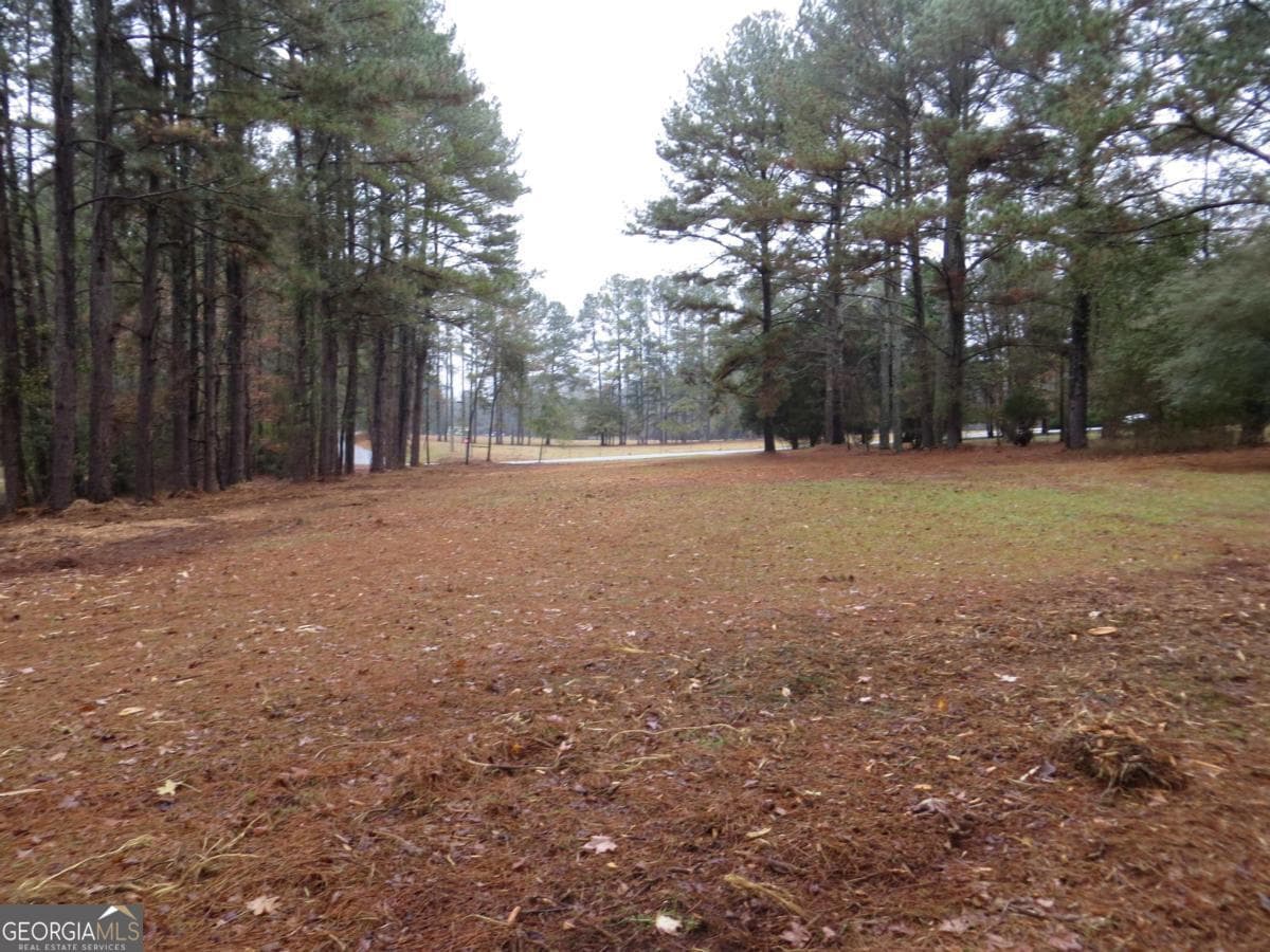 residential lot for sale at LOT 10 Sugar Creek Trail LOT 10, Buckhead, GA 30625 — photo 8