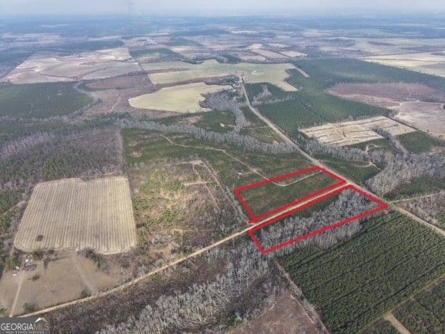 unimproved land for sale at 2 Powell School Road, Lumber City, GA 31549 — photo 2