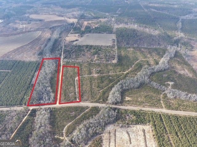 unimproved land for sale at 2 Powell School Road, Lumber City, GA 31549 — photo 3