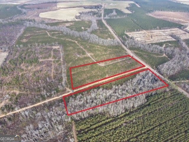 unimproved land for sale at 2 Powell School Road, Lumber City, GA 31549 — photo 1 of 19