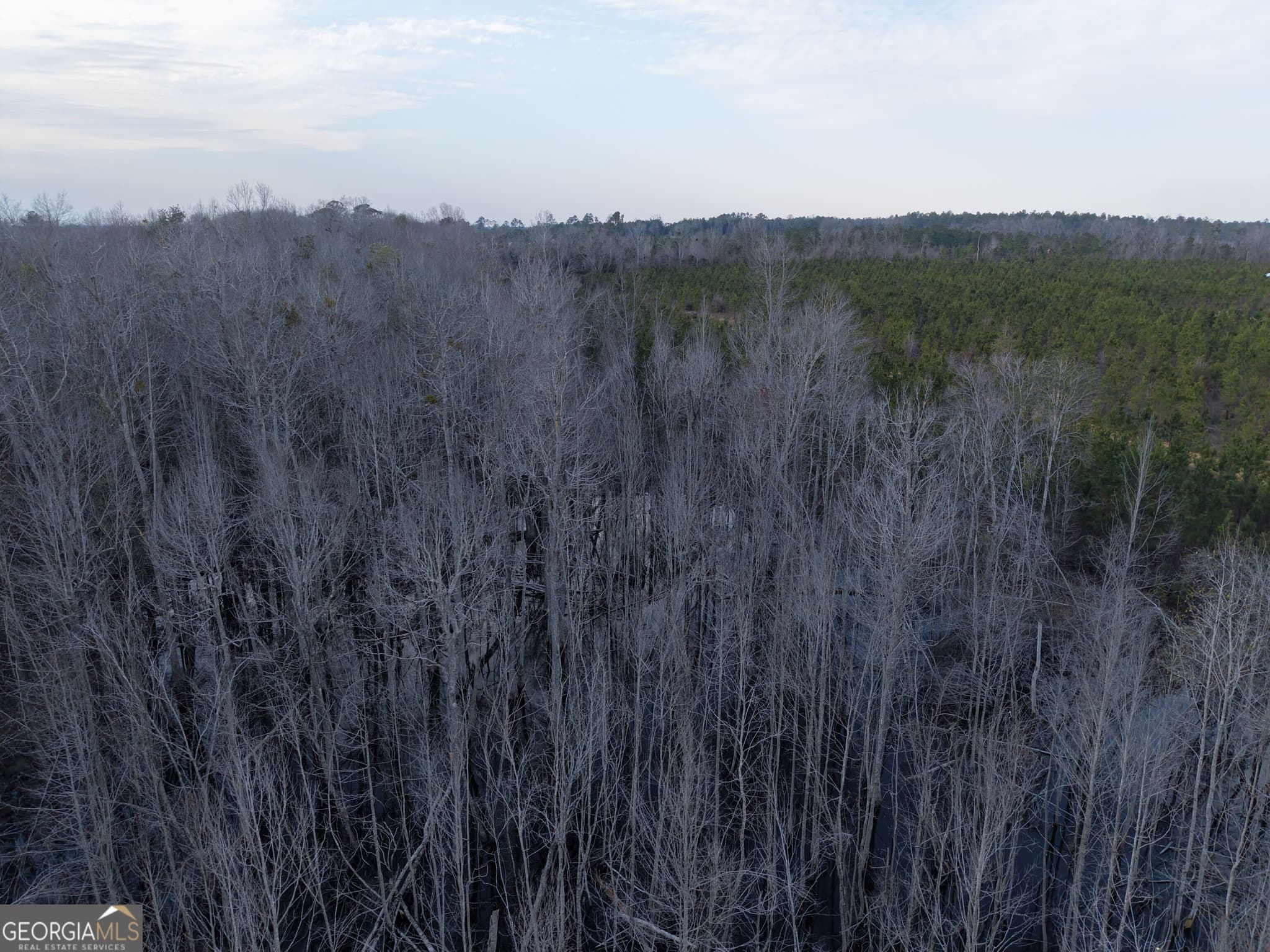 unimproved land for sale at 2 Powell School Road, Lumber City, GA 31549 — photo 10