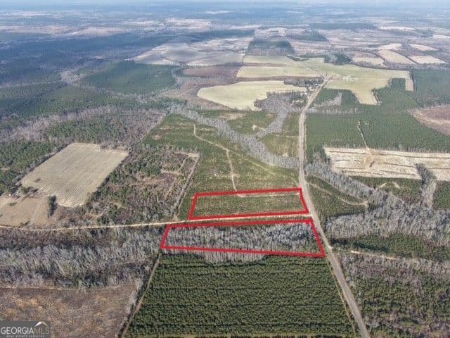 unimproved land for sale at 2 Powell School Road, Lumber City, GA 31549 — photo 4