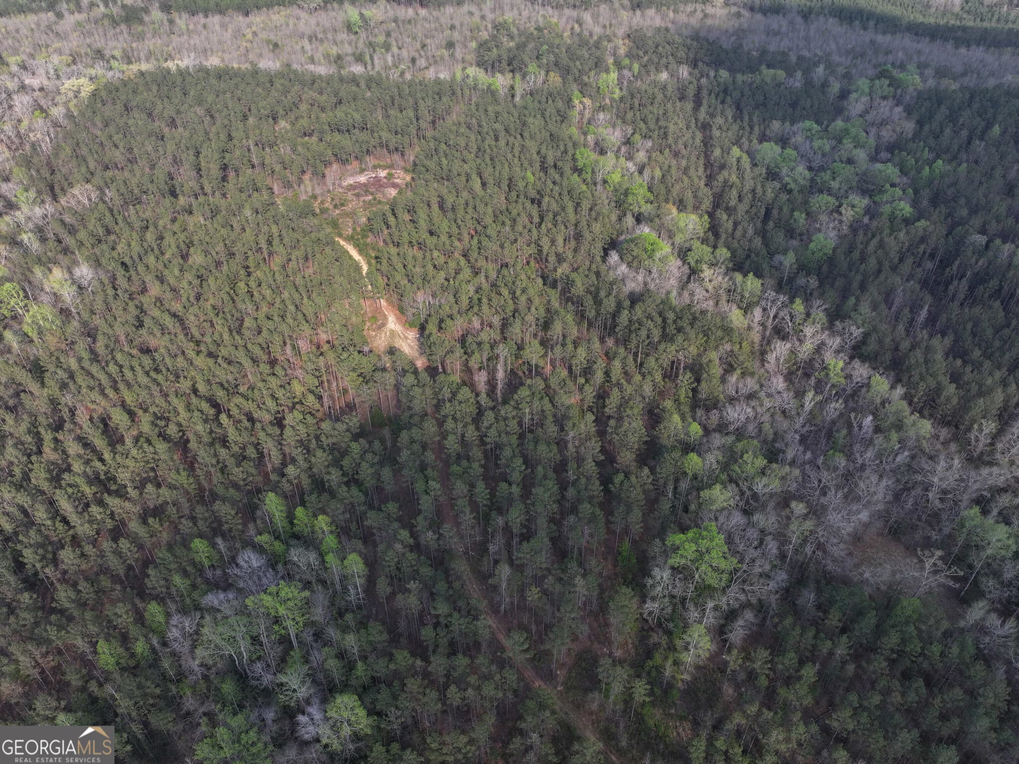 unimproved land for sale at 195 County Line Road, Lumpkin, GA 31815 — photo 6
