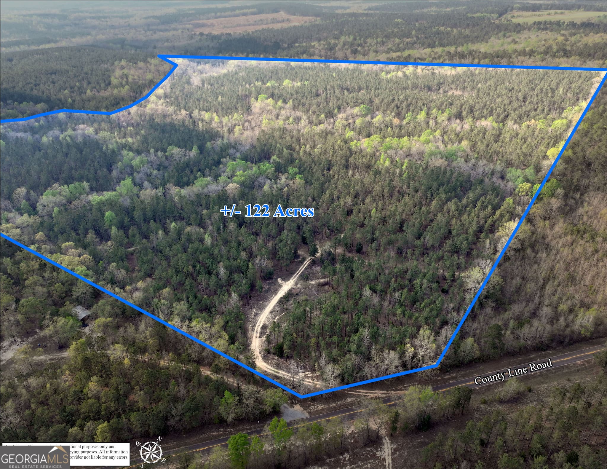 unimproved land for sale at 195 County Line Road, Lumpkin, GA 31815 — photo 7