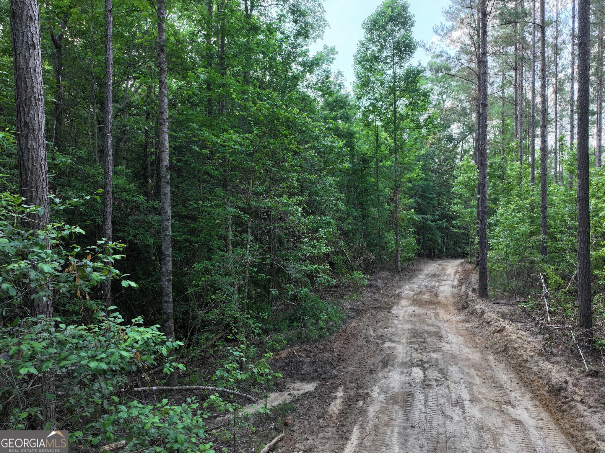 unimproved land for sale at 195 County Line Road, Lumpkin, GA 31815 — photo 3