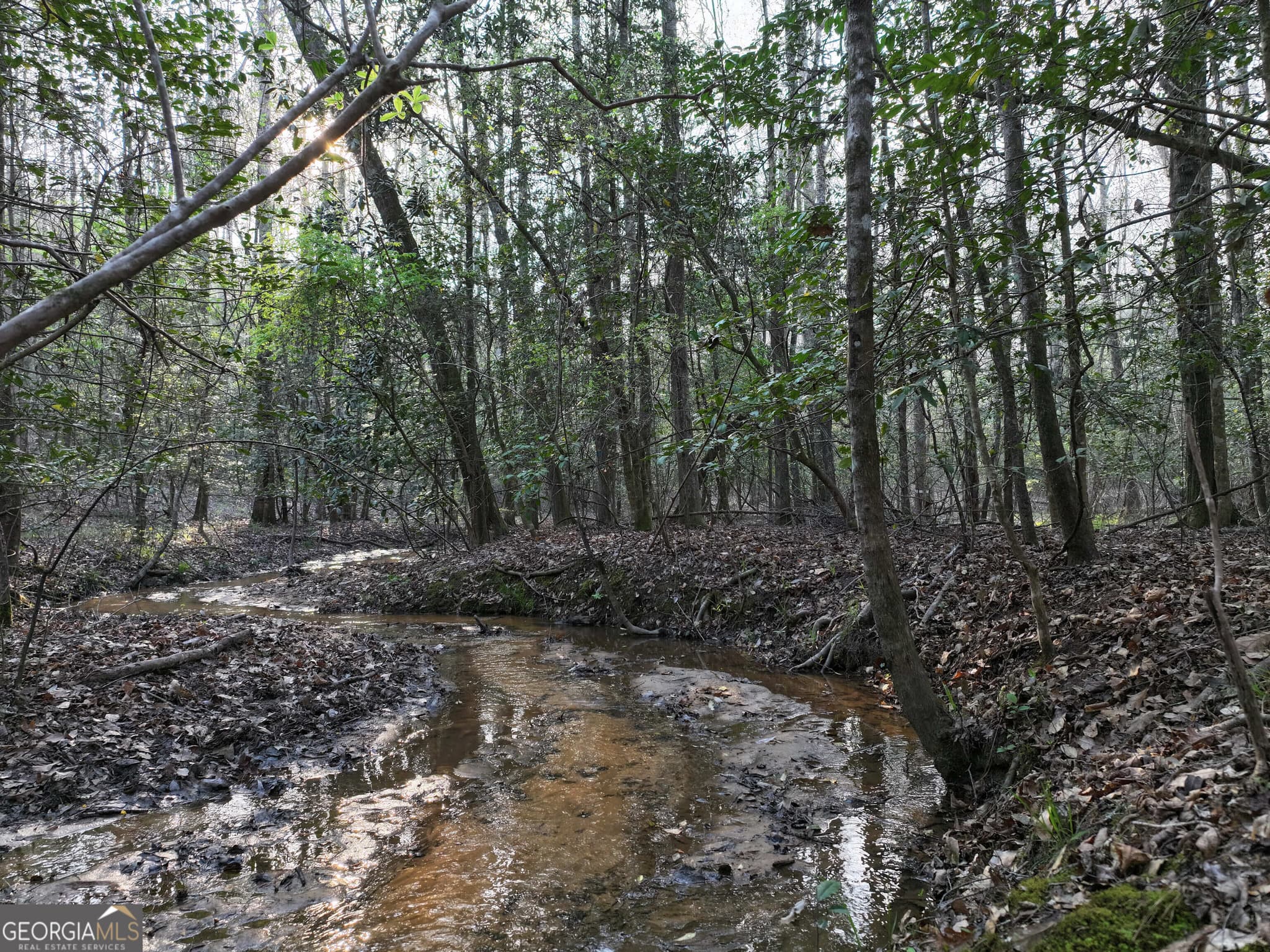unimproved land for sale at 195 County Line Road, Lumpkin, GA 31815 — photo 5