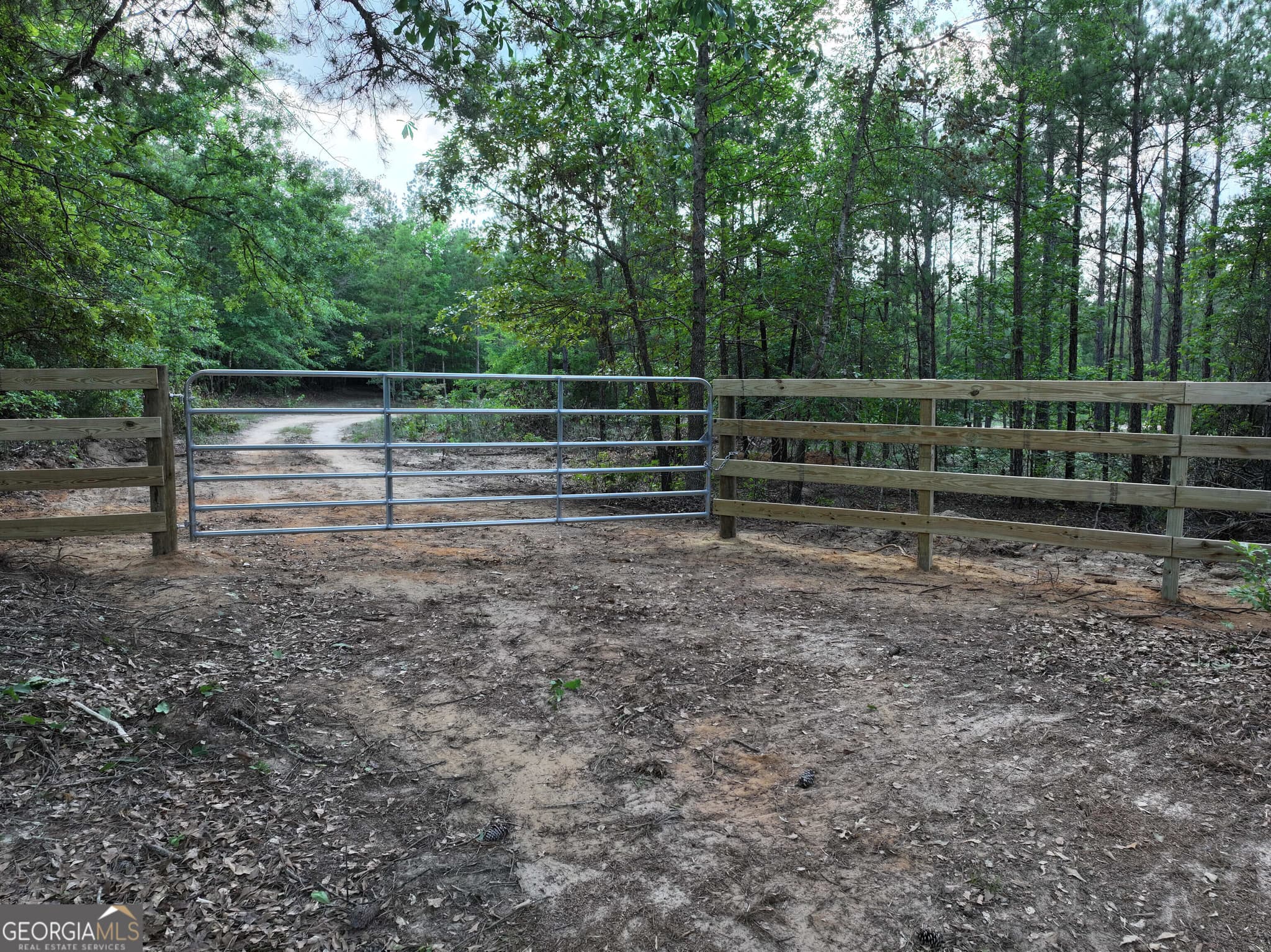 unimproved land for sale at 195 County Line Road, Lumpkin, GA 31815 — photo 10