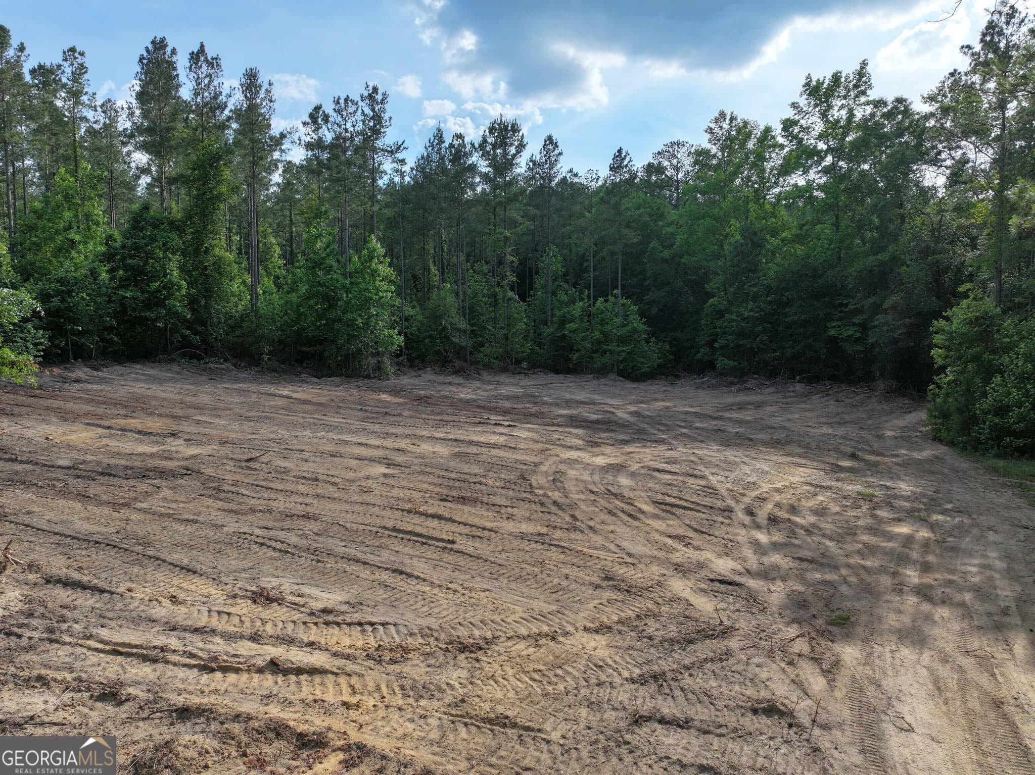 unimproved land for sale at 195 County Line Road, Lumpkin, GA 31815 — photo 8