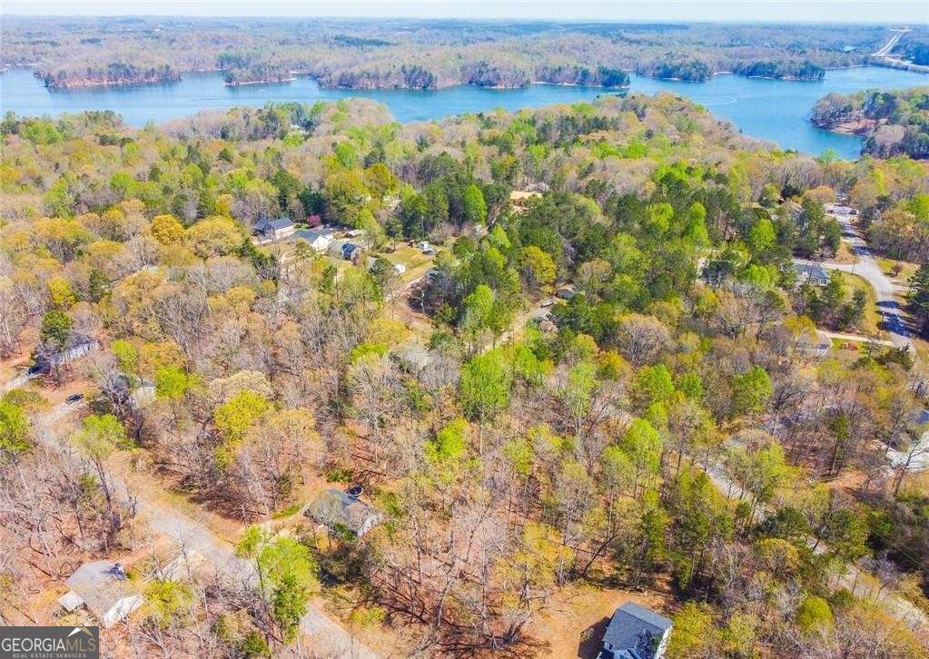 residential lot for sale at 0 Arrow Lane, Lavonia, GA 30553 — photo 2