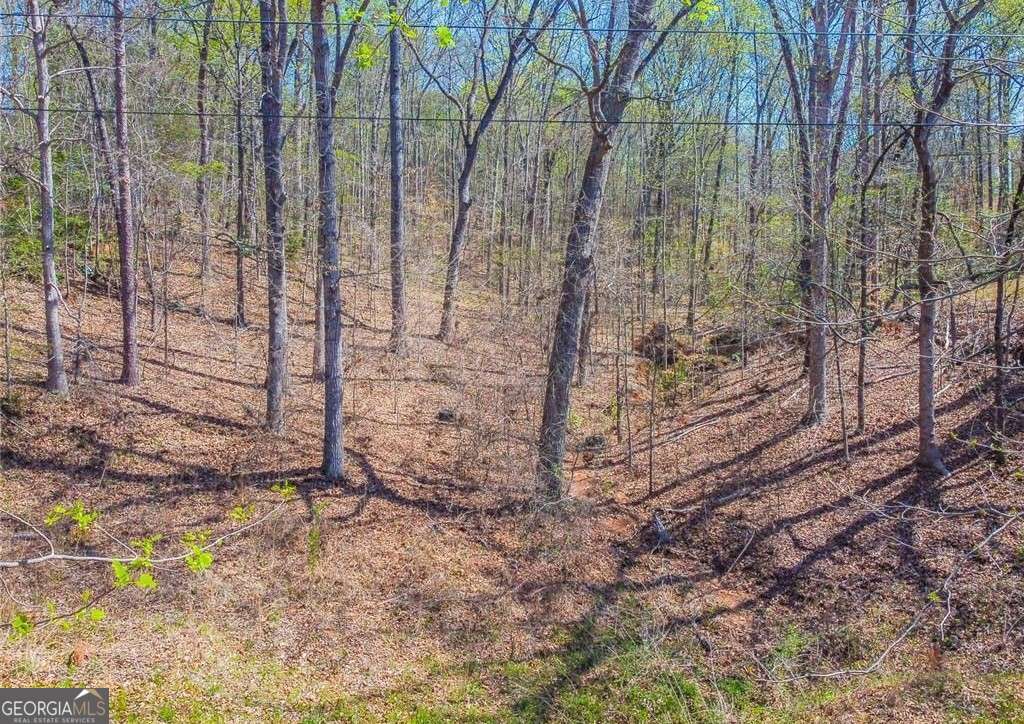 residential lot for sale at 0 Arrow Lane, Lavonia, GA 30553 — photo 3