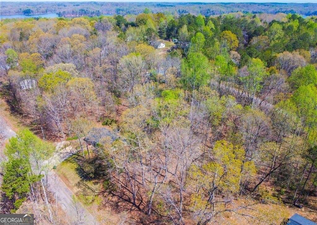 residential lot for sale at 0 Arrow Lane, Lavonia, GA 30553 — photo 5