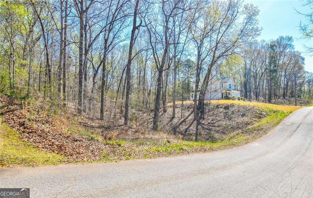 residential lot for sale at 0 Arrow Lane, Lavonia, GA 30553 — photo 4