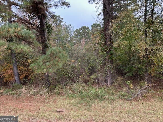 agriculture for sale at 101 22 E Highway, Milledgeville, GA 31061 — photo 3