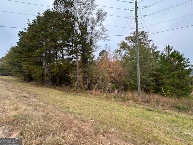 agriculture for sale at 101 22 E Highway, Milledgeville, GA 31061 — photo 5