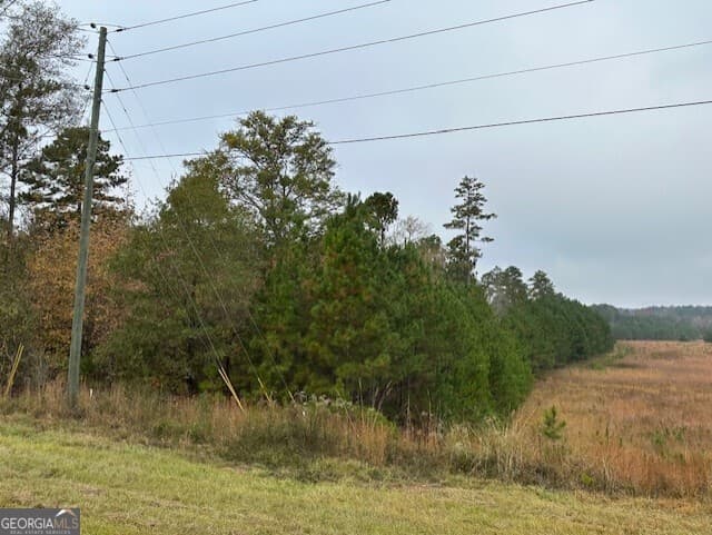 agriculture for sale at 101 22 E Highway, Milledgeville, GA 31061 — photo 4