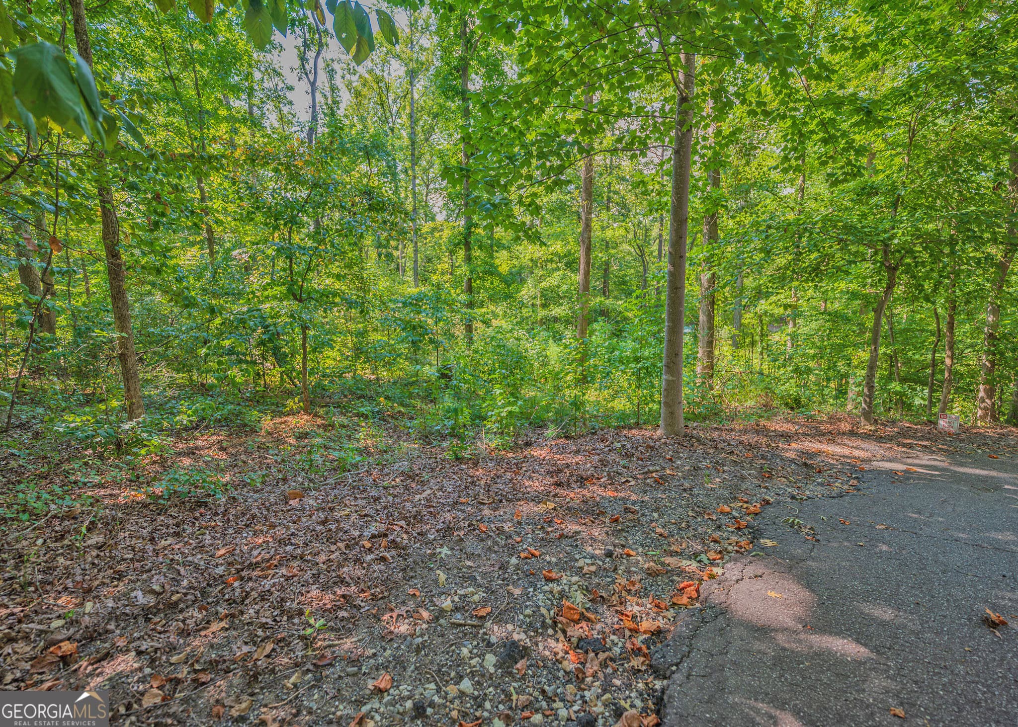 residential lot for sale at 279 Mavericks Run, Martin, GA 30557 — photo 2