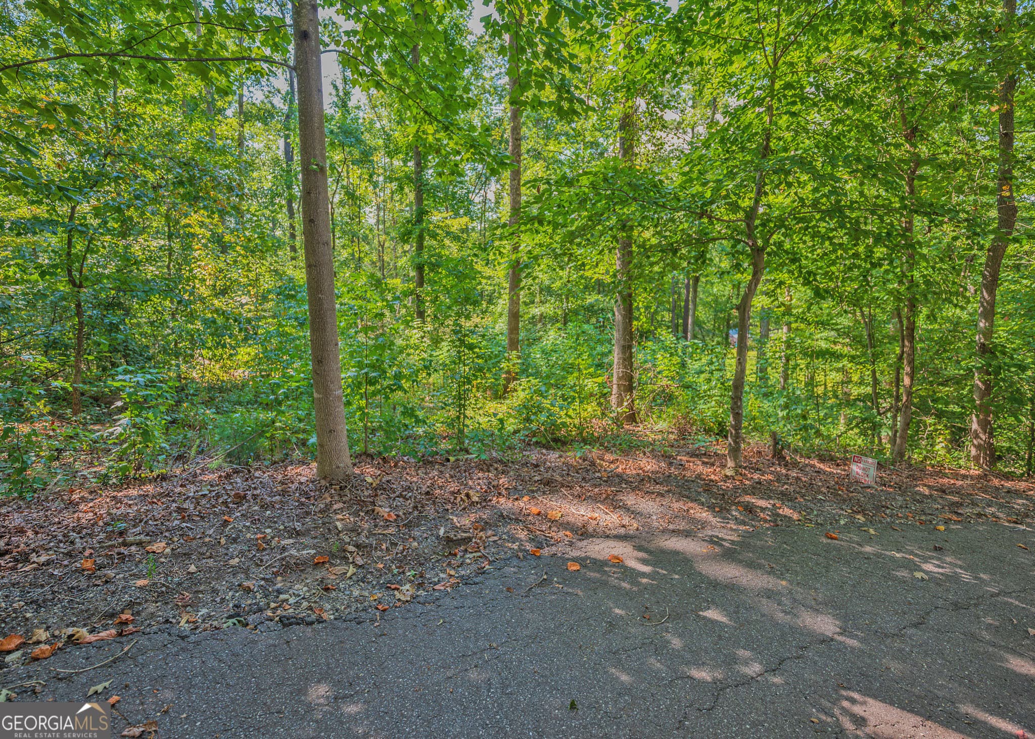 residential lot for sale at 279 Mavericks Run, Martin, GA 30557 — photo 3